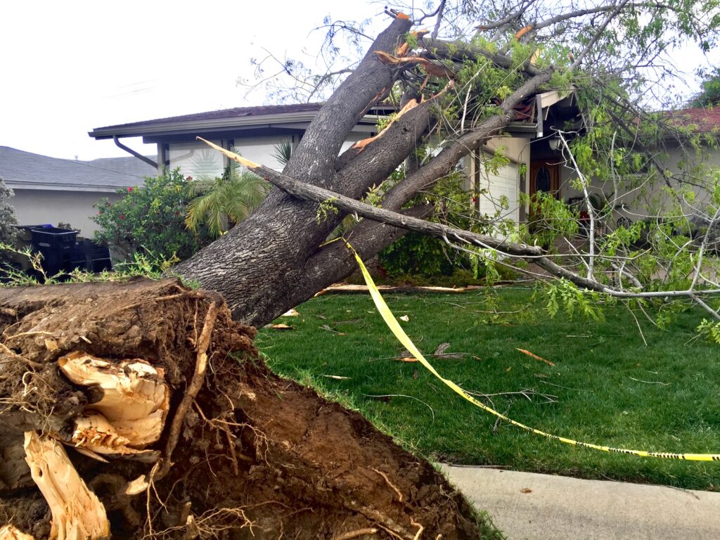 natural disaster effect on property a tree falling on a home