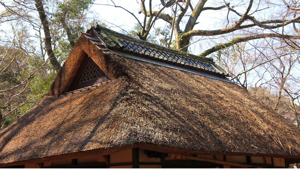 Thatched roofing